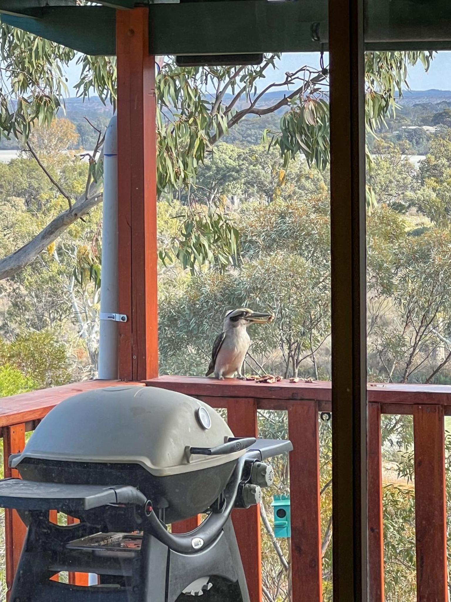 'The Lookout' - Nildottie