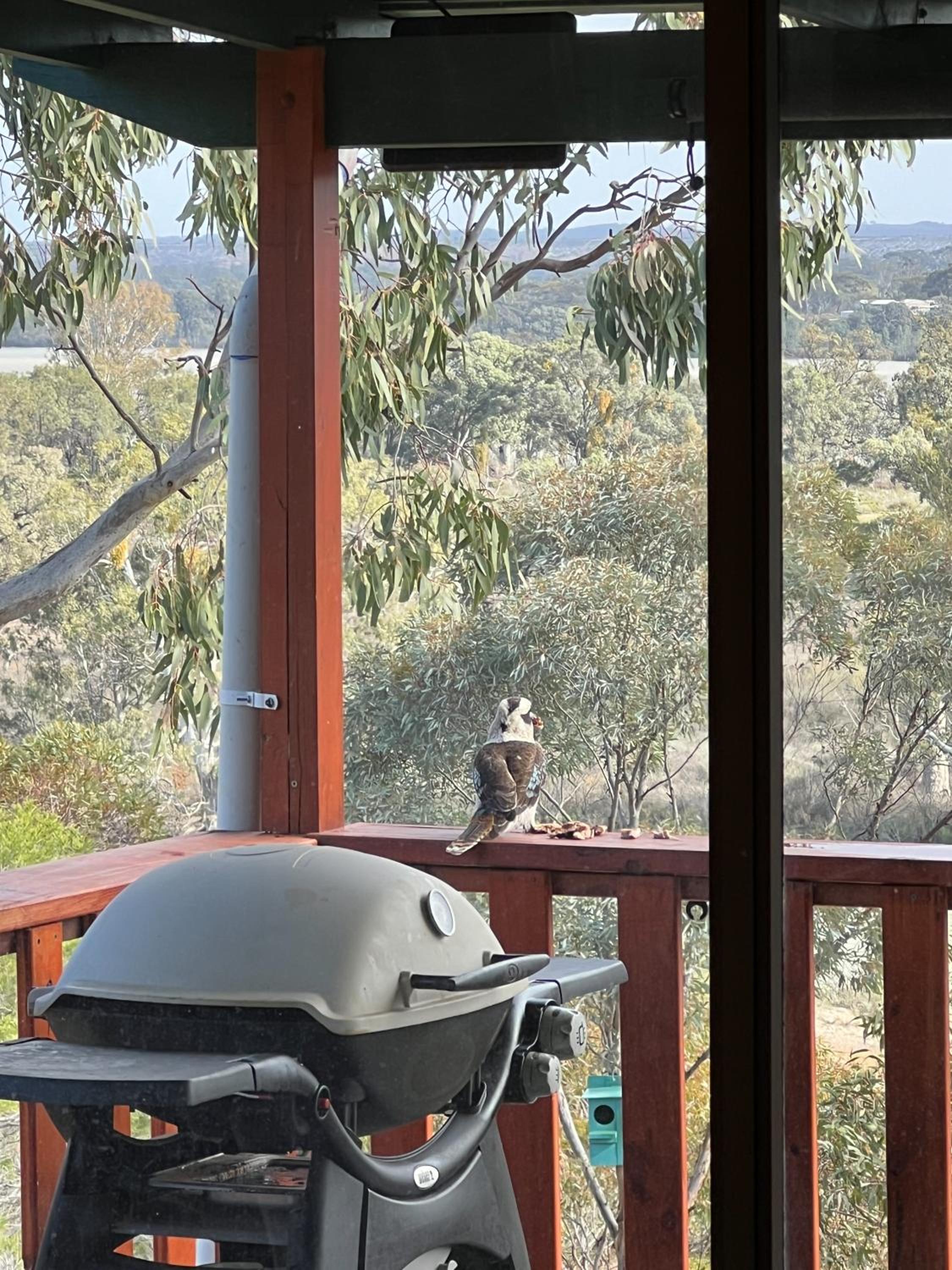 'The Lookout' - Nildottie