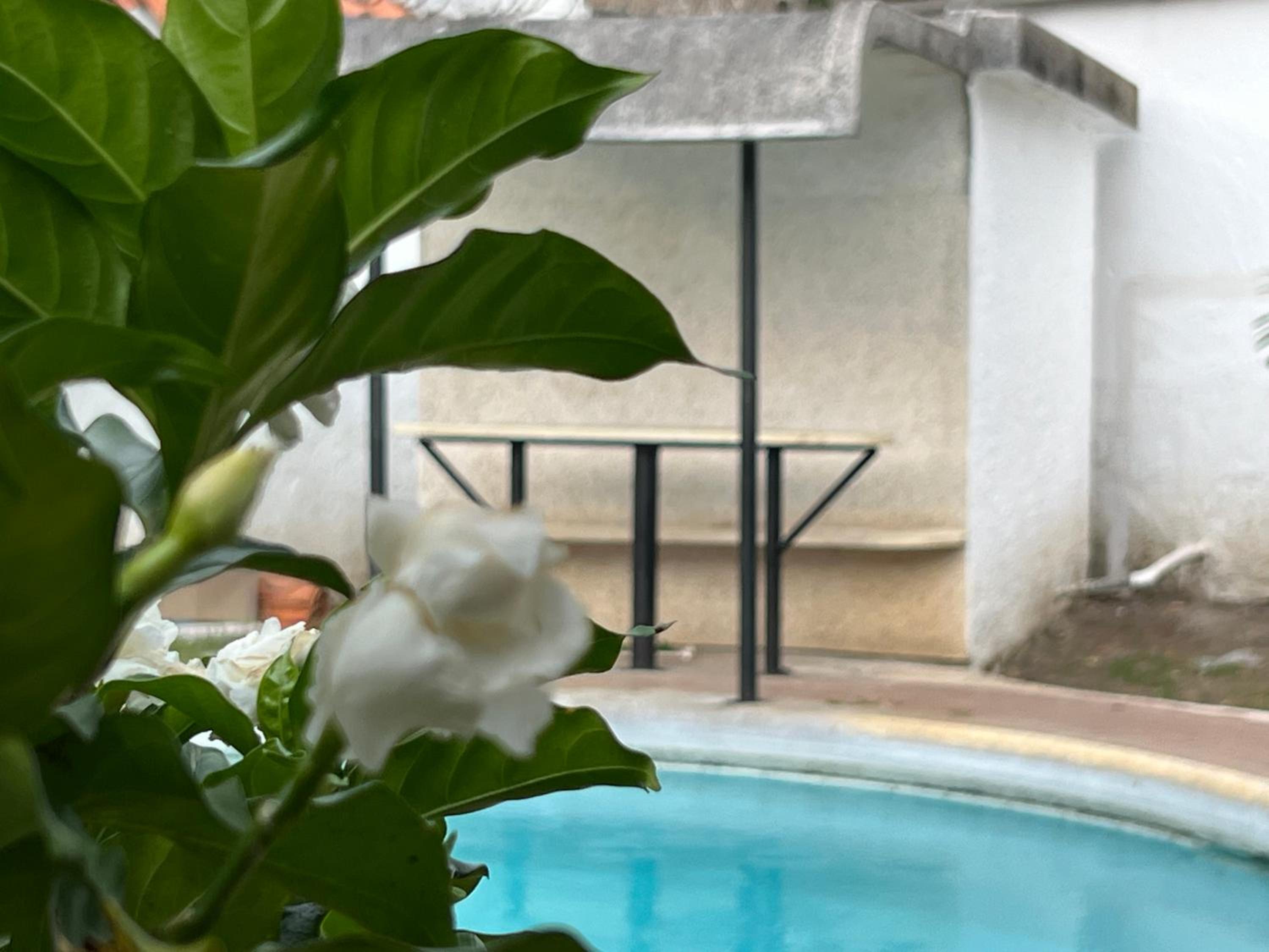 Magiko Suites