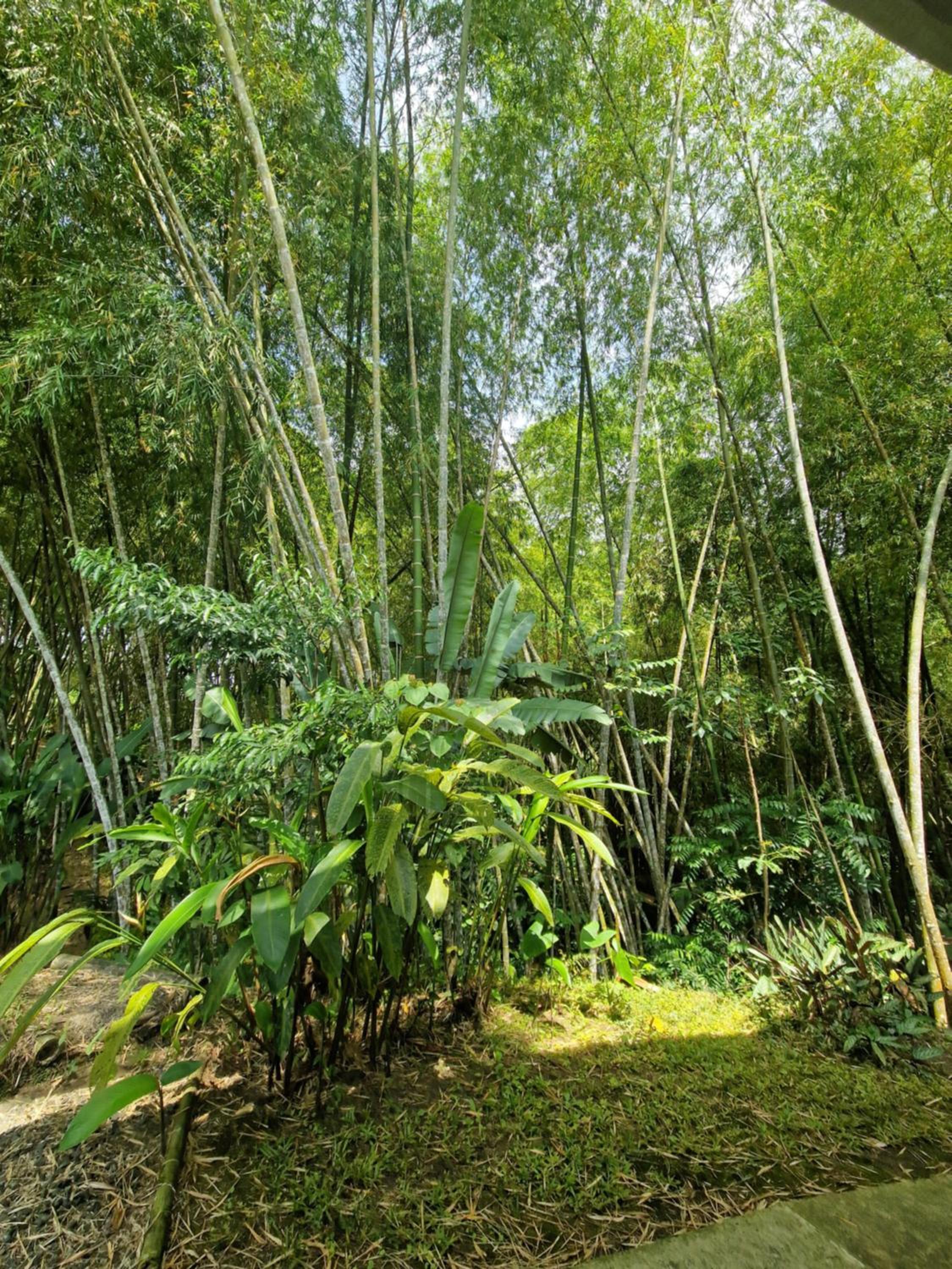 Bhutan Filandia