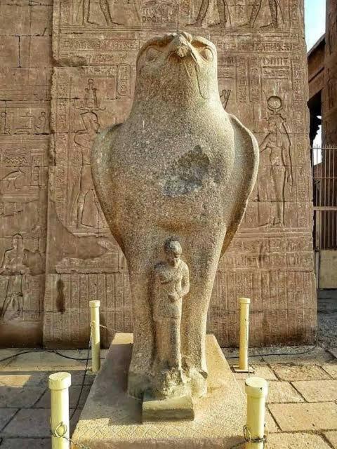 Nile cruises