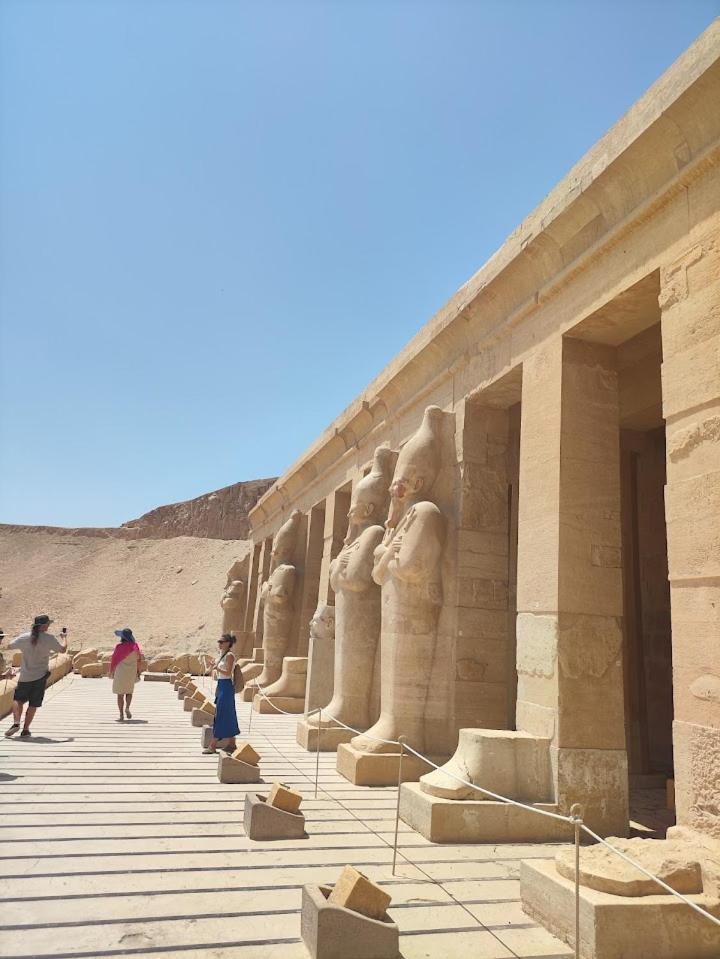 Nile cruises