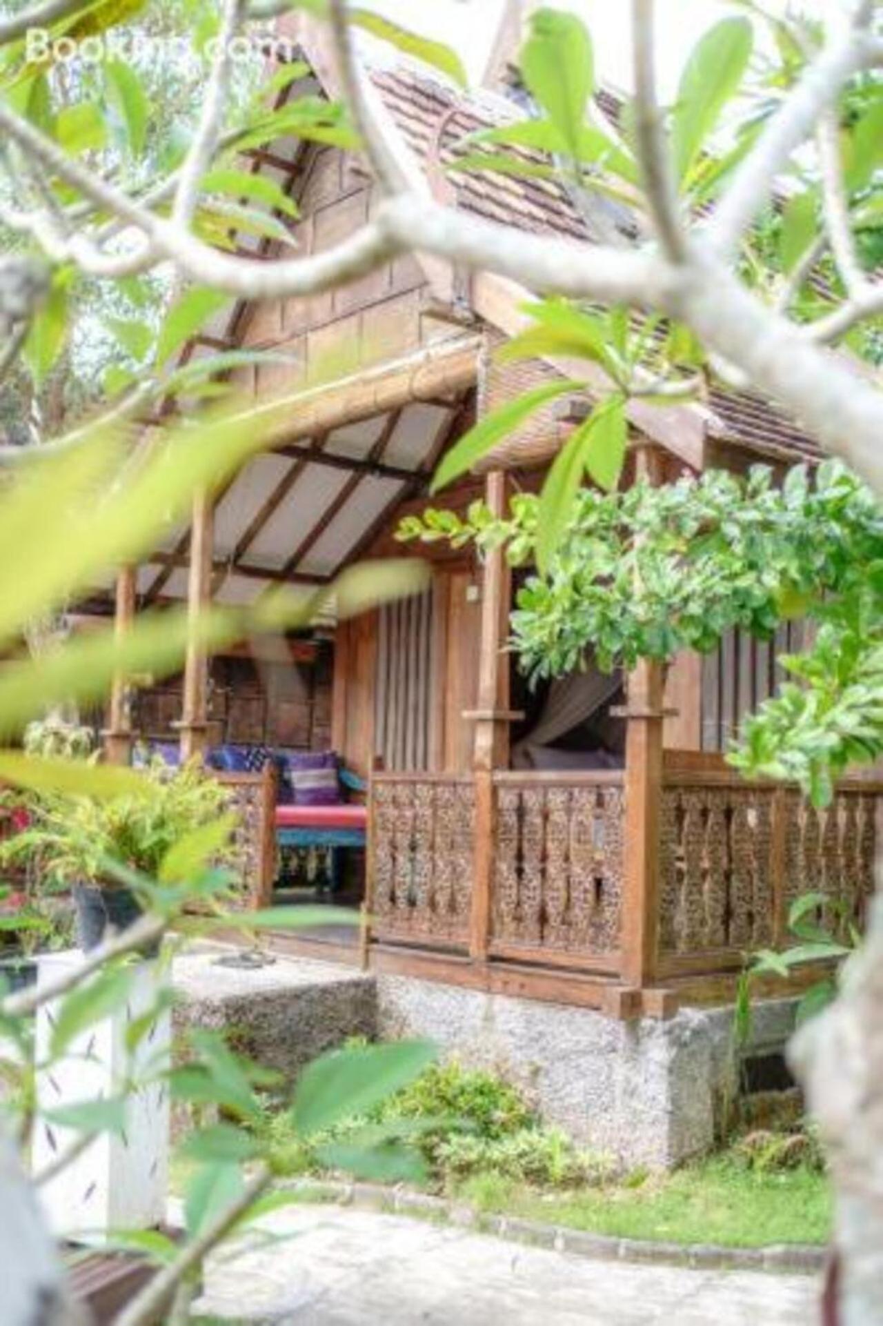 My Dream Bali