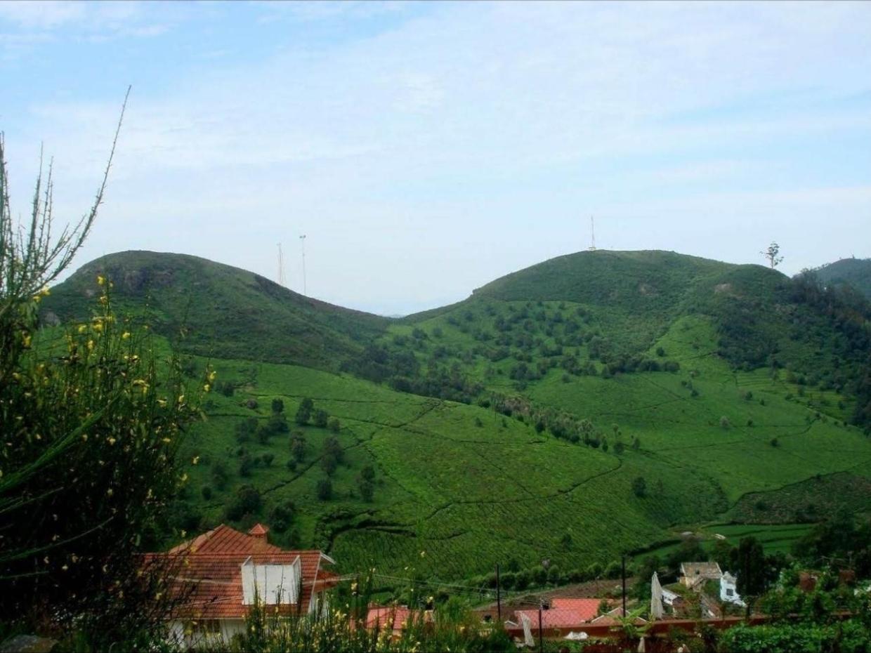 Mist Resorts Ooty view 4