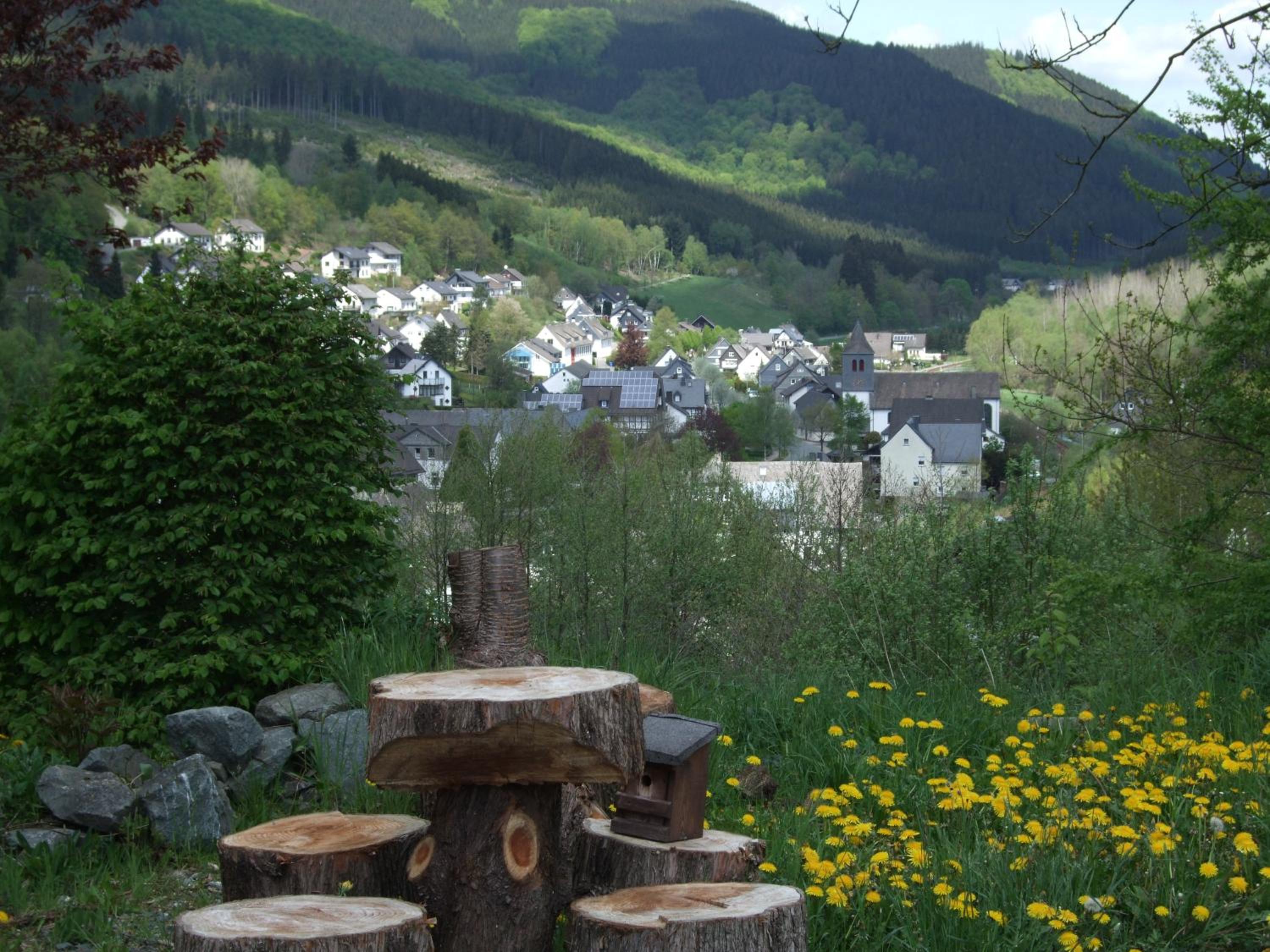 Photo 46