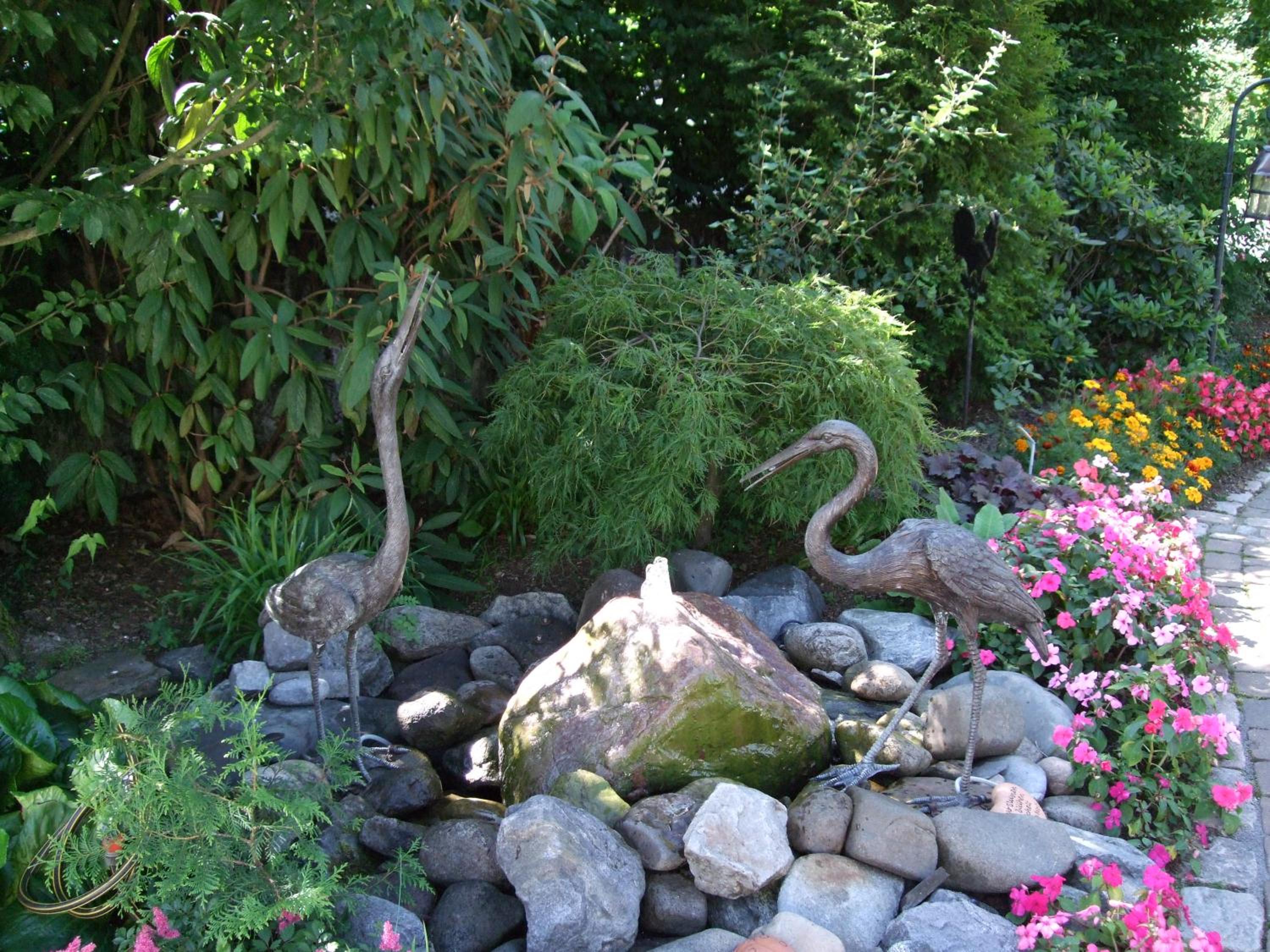 Photo 48