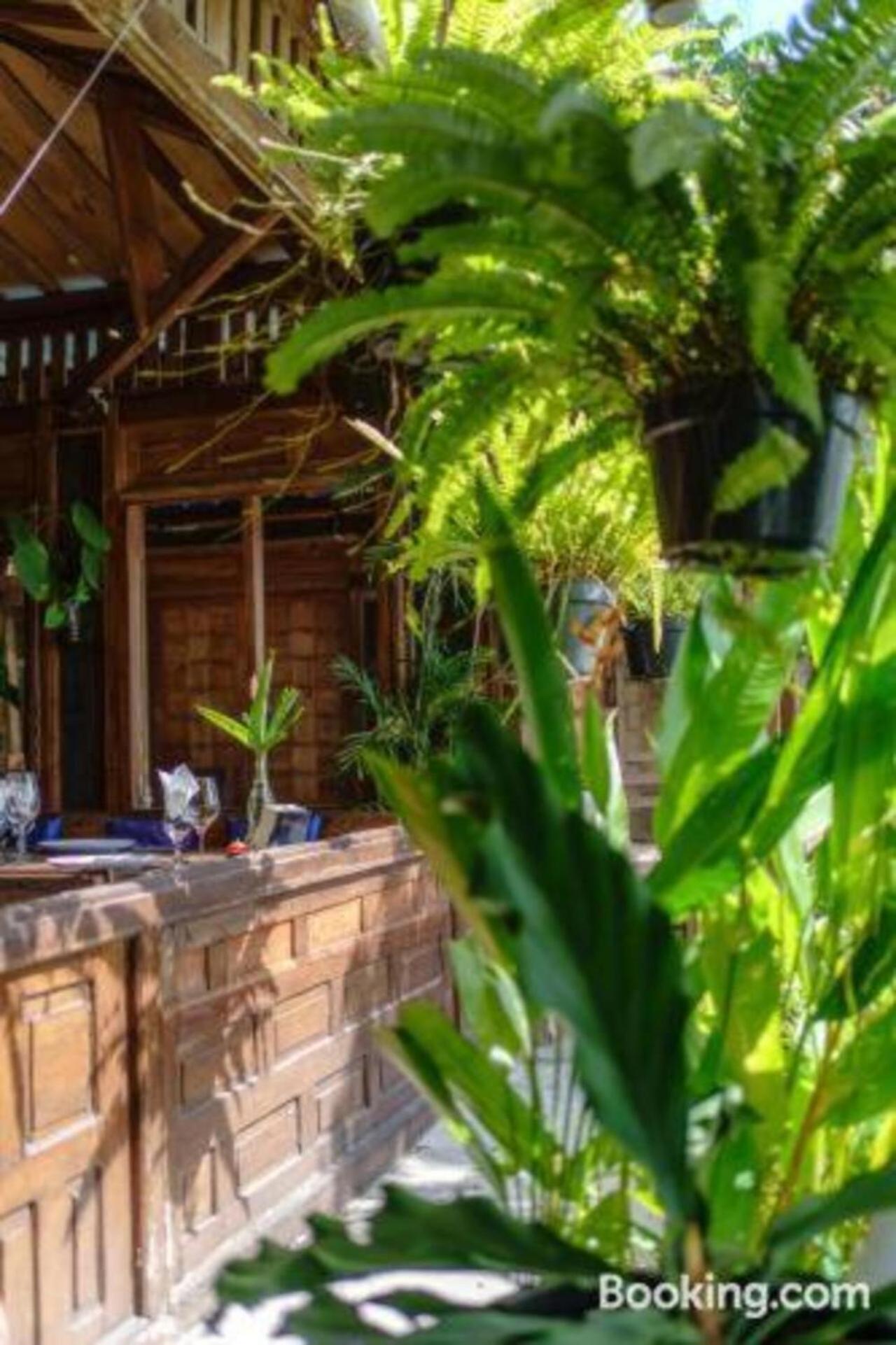 My Dream Bali