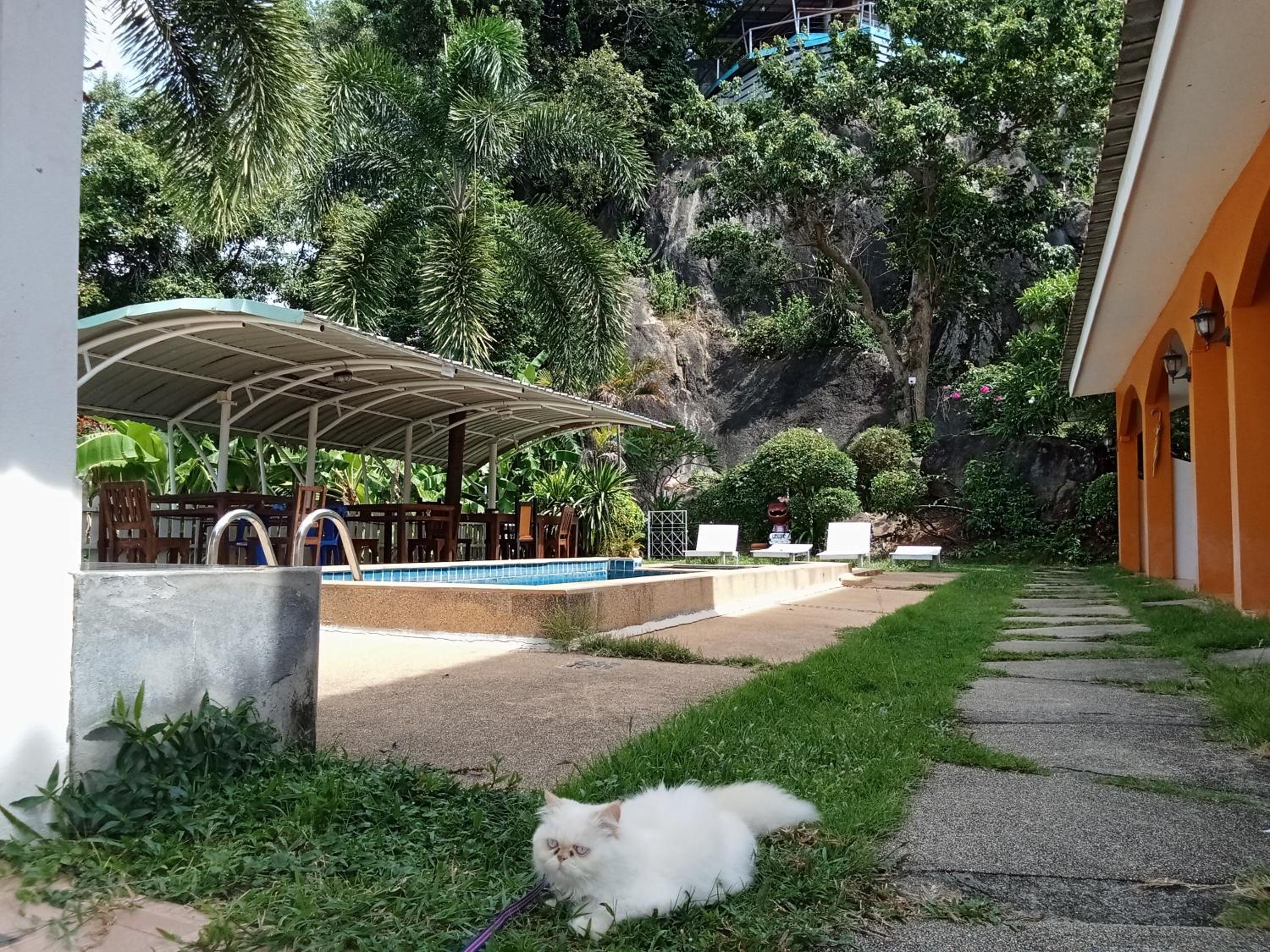 Private Lodge Beachside Samui Lamai view 2
