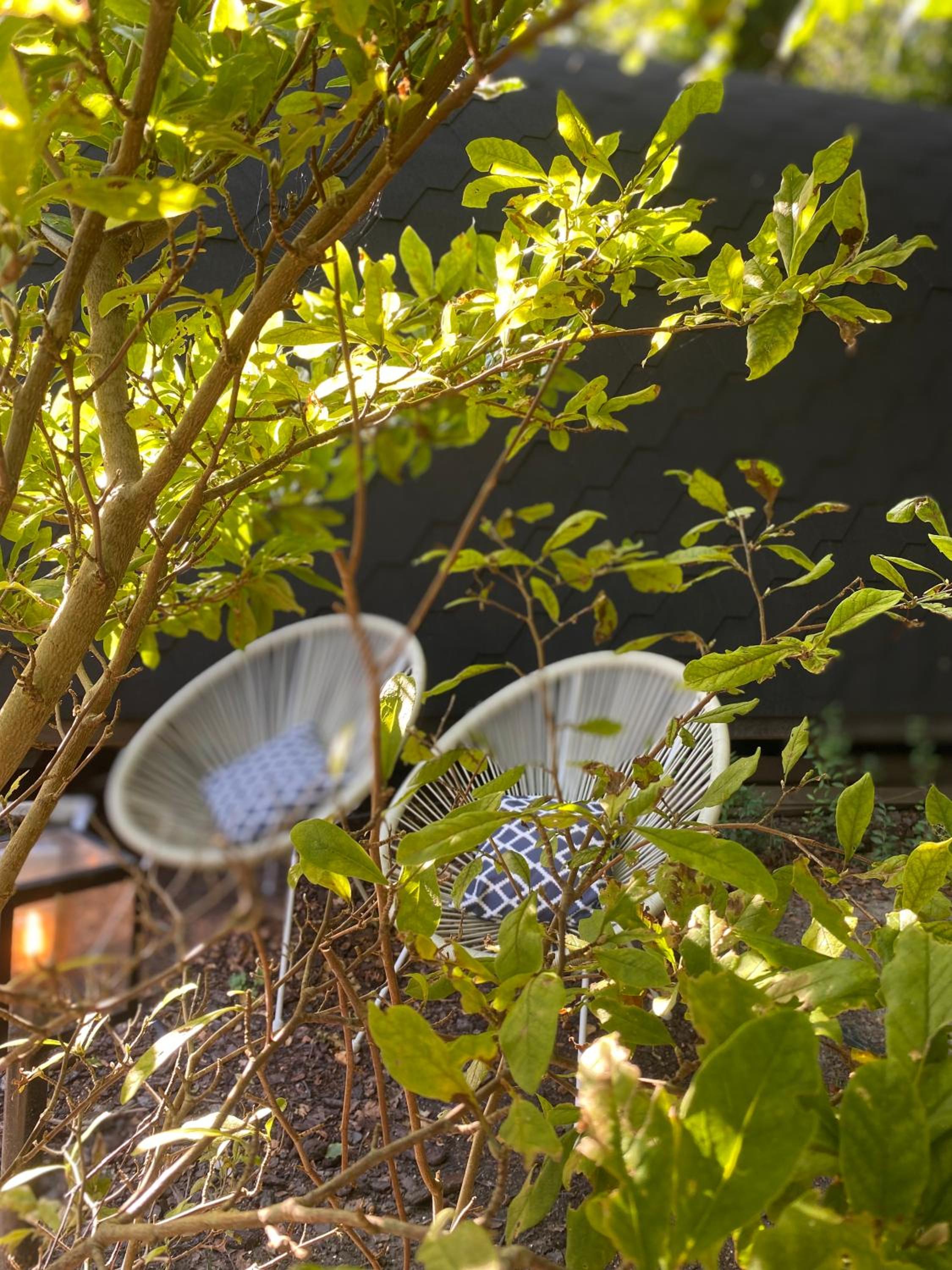 Ecolodge Almere