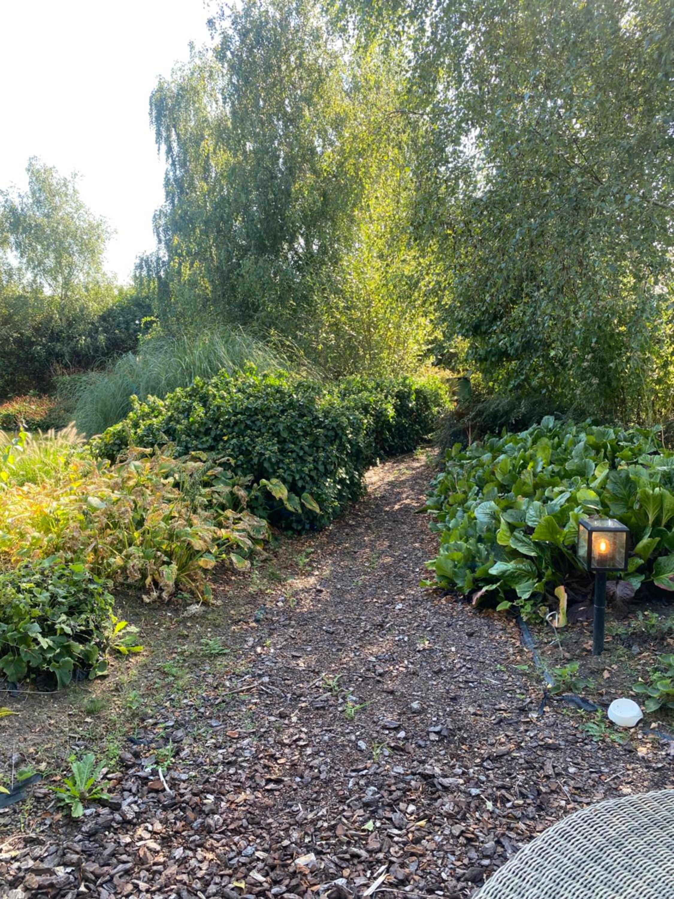 Ecolodge Almere
