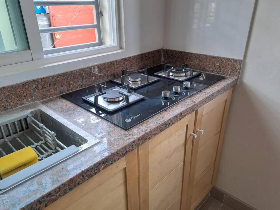 Luxurious Palm Breeze Studio Apt in San Isidro