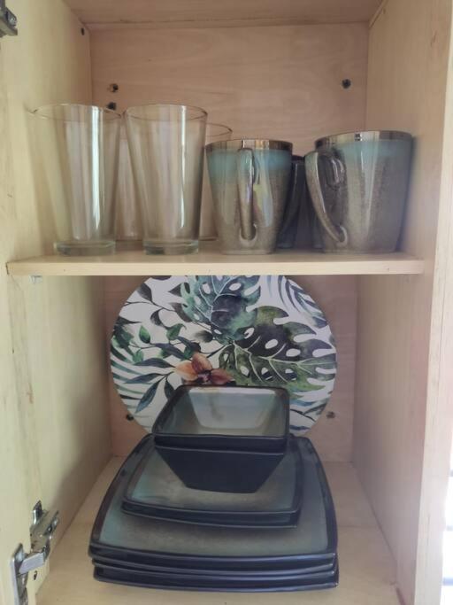 Luxurious Palm Breeze Studio Apt in San Isidro