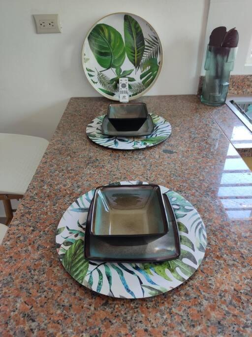 Luxurious Palm Breeze Studio Apt in San Isidro