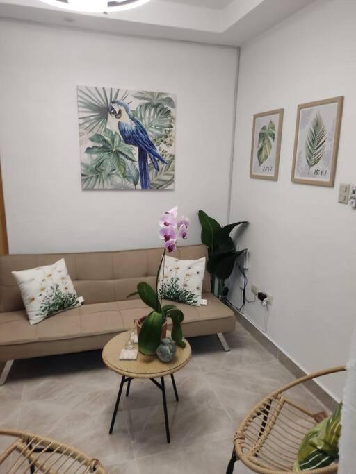 Luxurious Palm Breeze Studio Apt in San Isidro