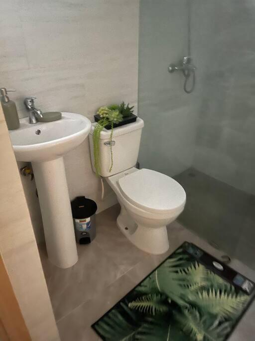 Luxurious Palm Breeze Studio Apt in San Isidro