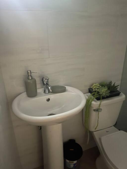 Luxurious Palm Breeze Studio Apt in San Isidro