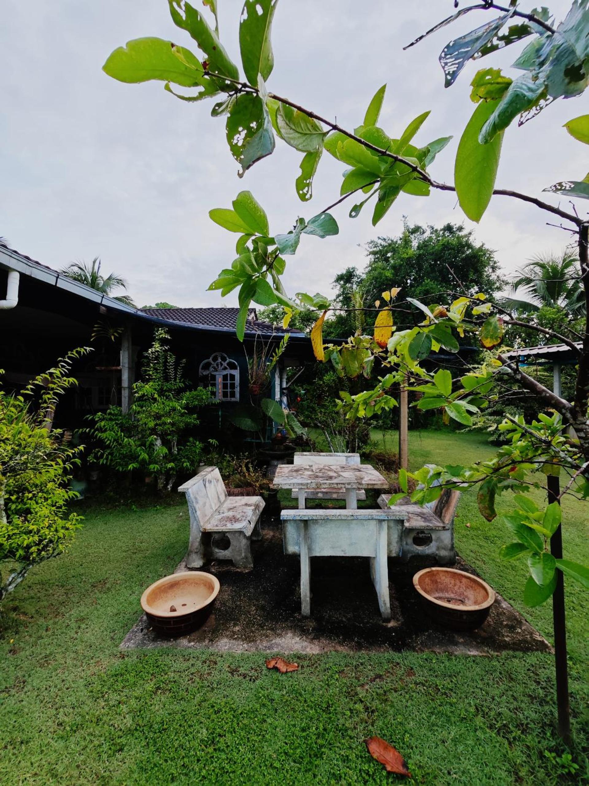 Homestay Bendang Becah view 2