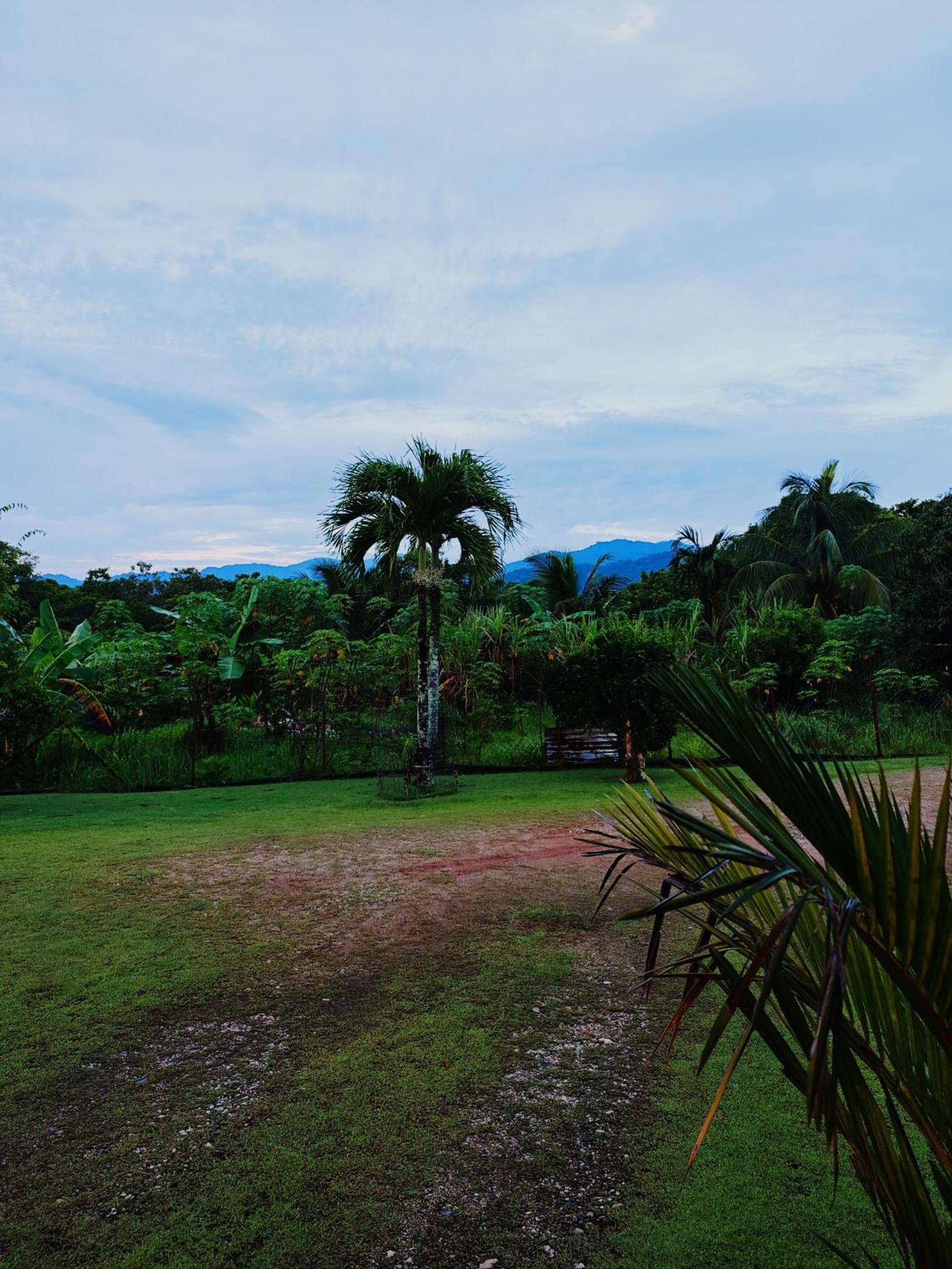 Homestay Bendang Becah view 3
