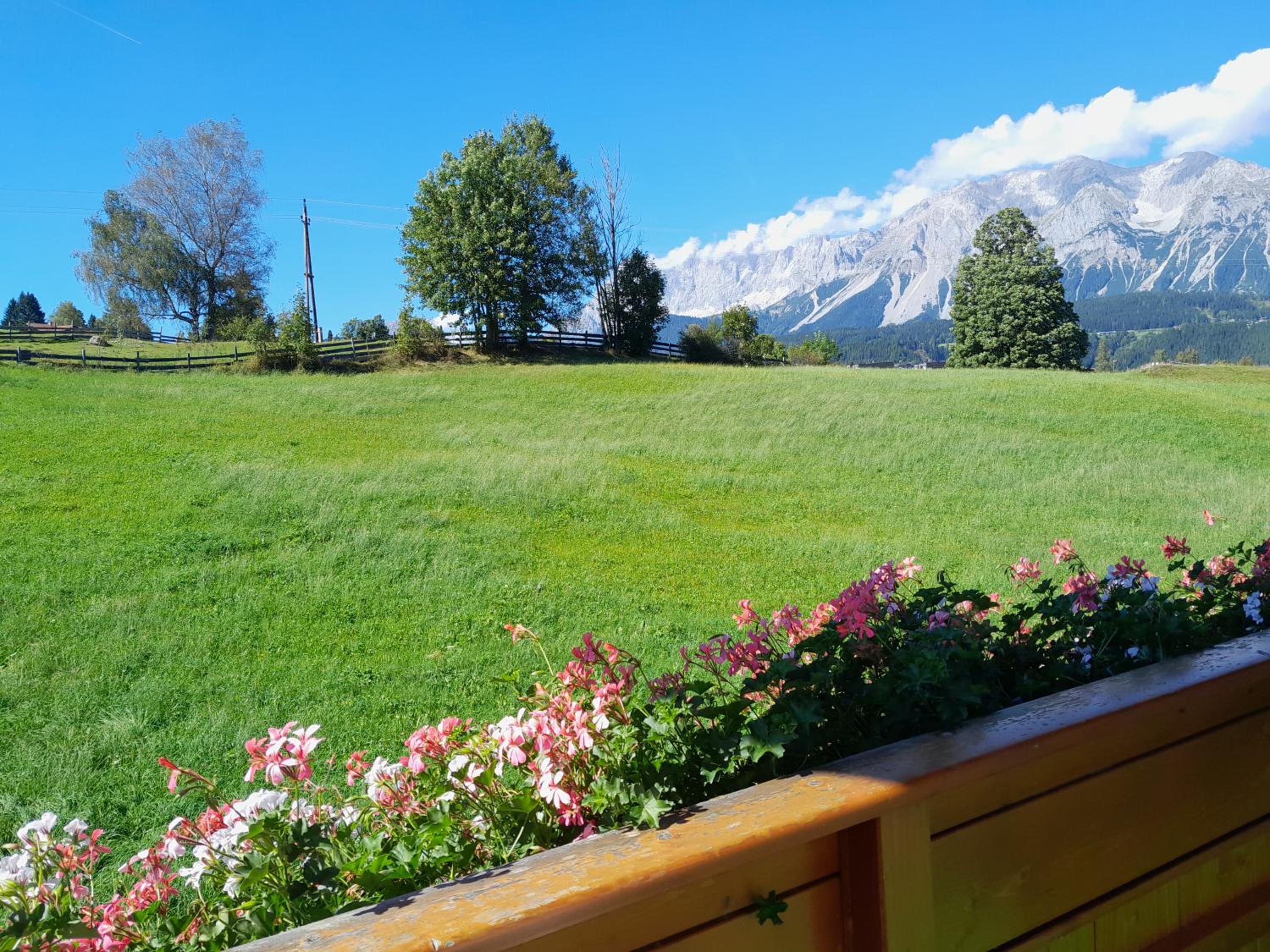 Alpenblick