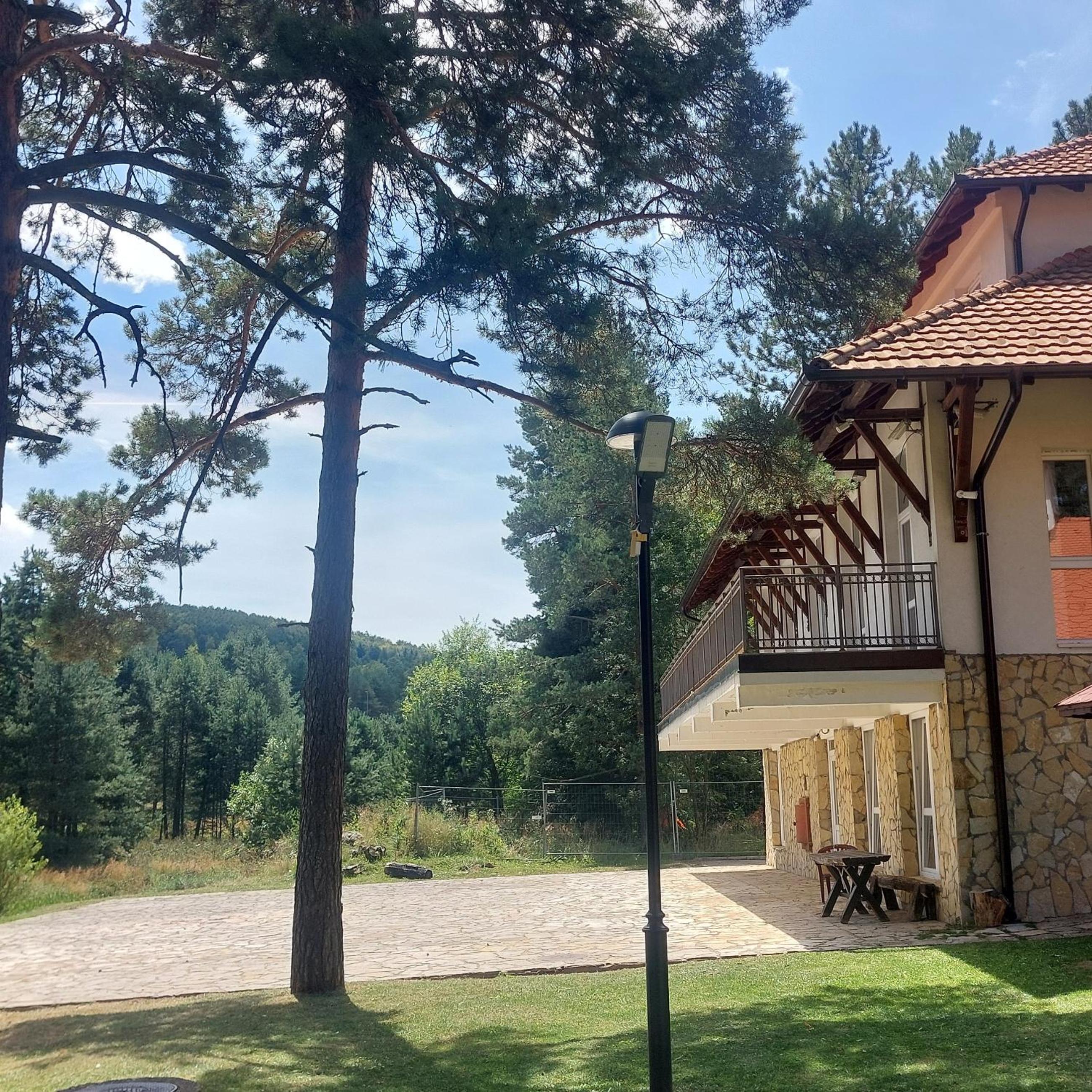 DM apartman Divcibare