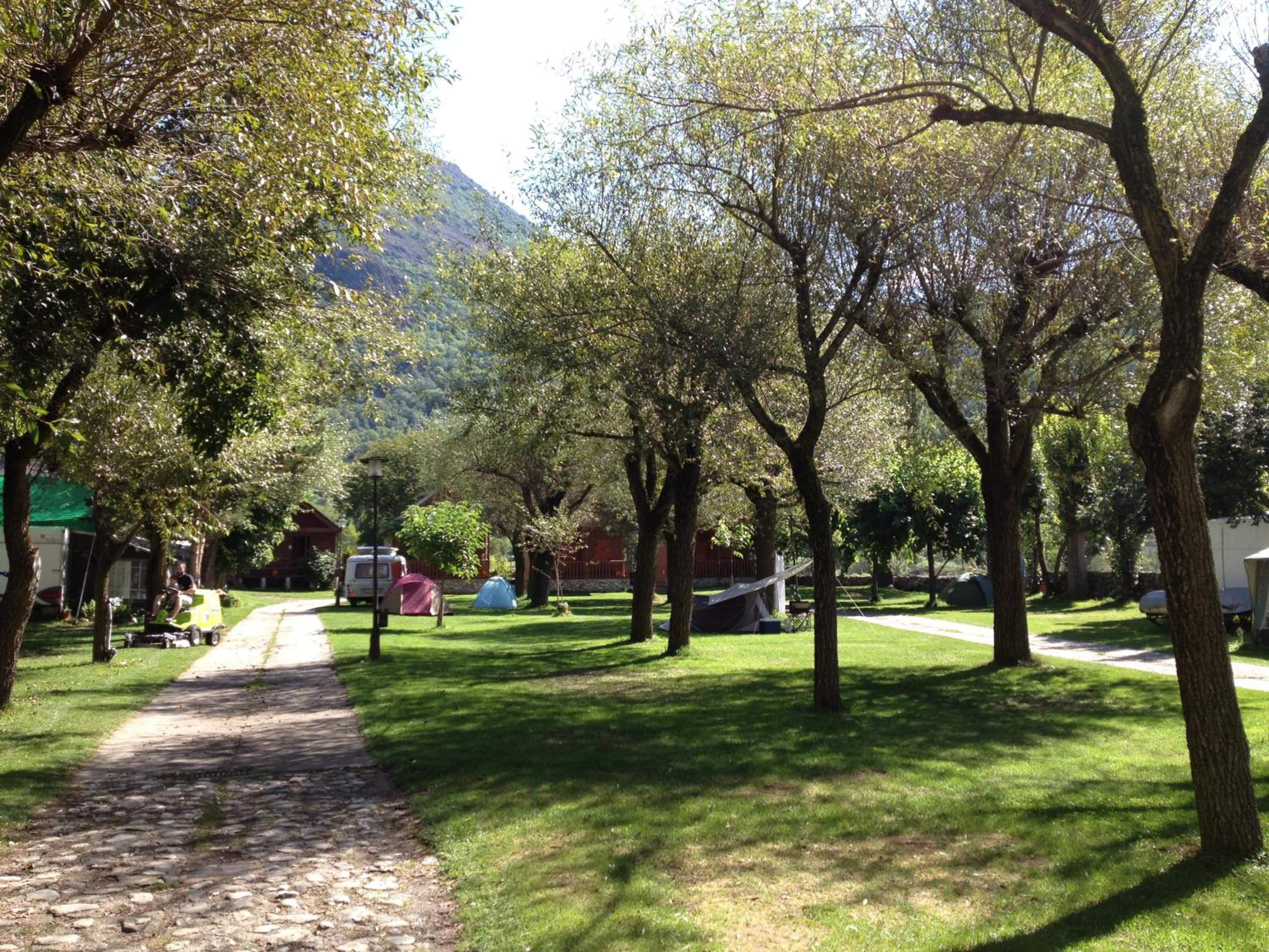 Photo 40