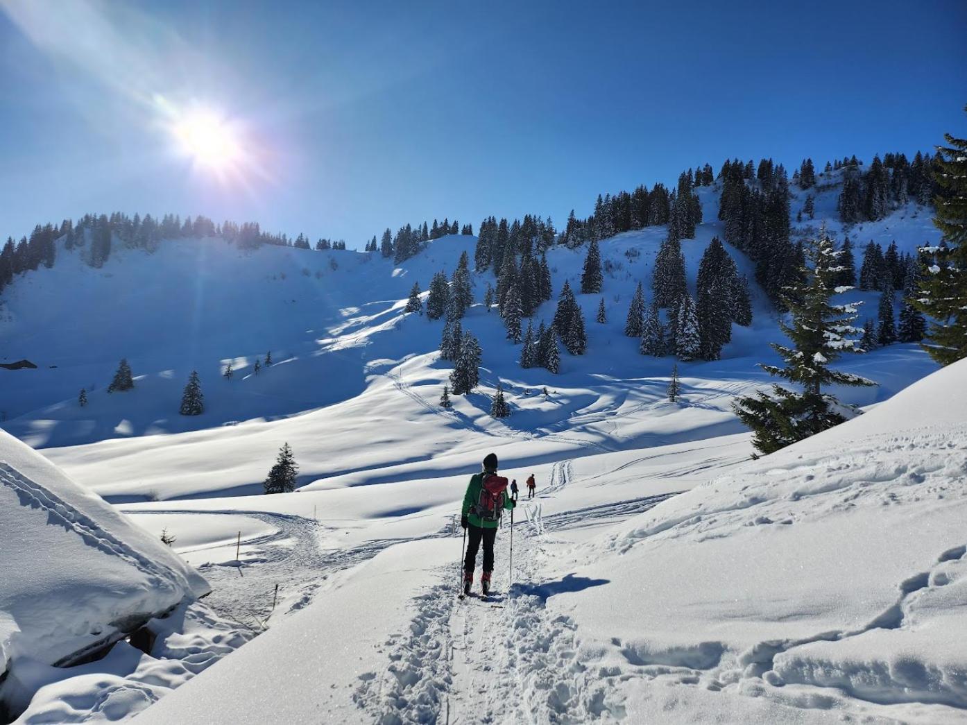 Alpenu Exklusiv