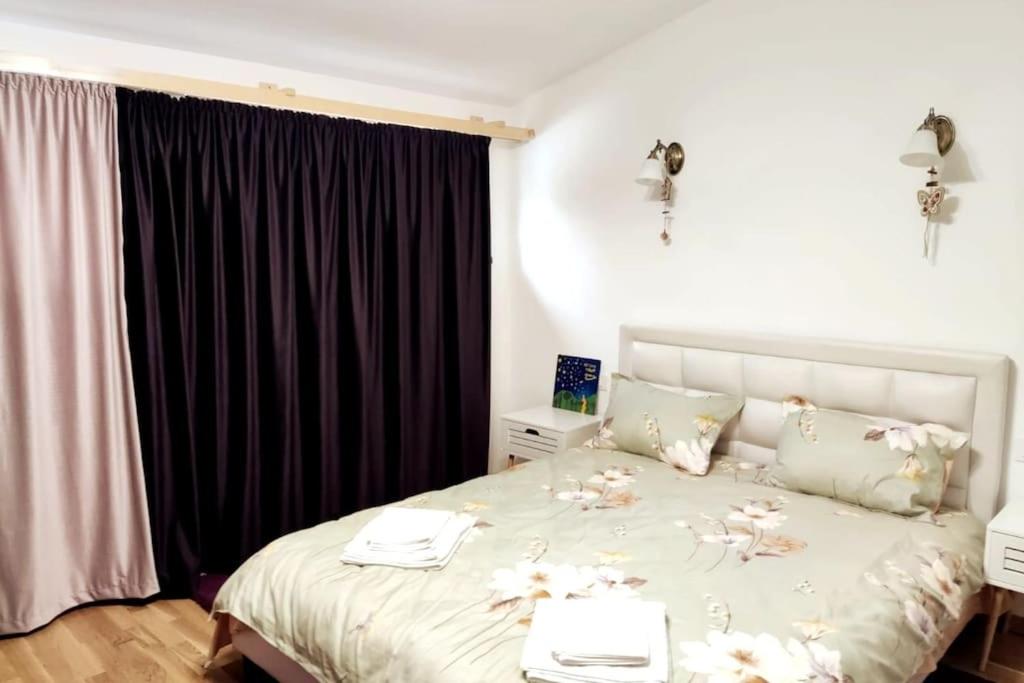 Charming Villa in the Heart of Bucharest view 3