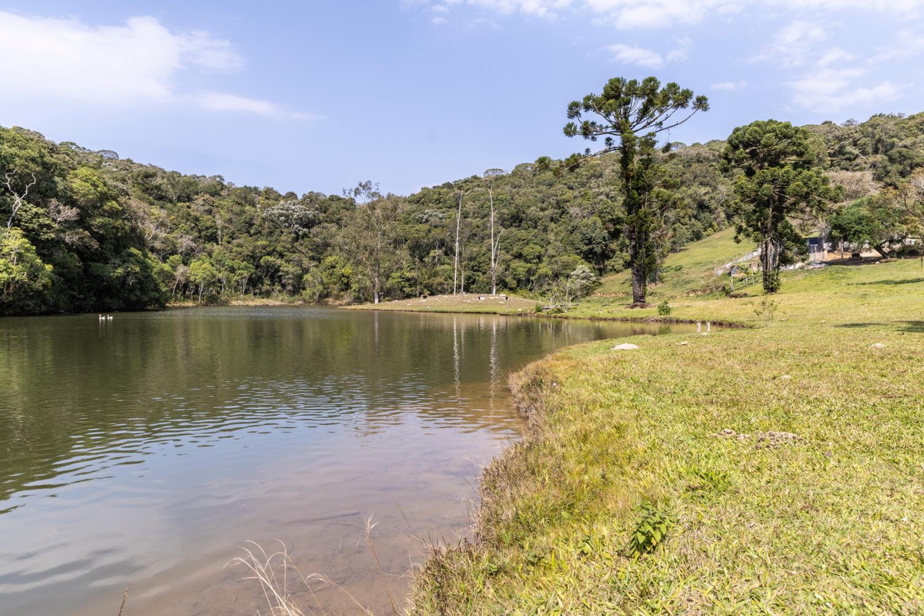 Natureza, Piscina, Churrasqueira |Brazilian Corner