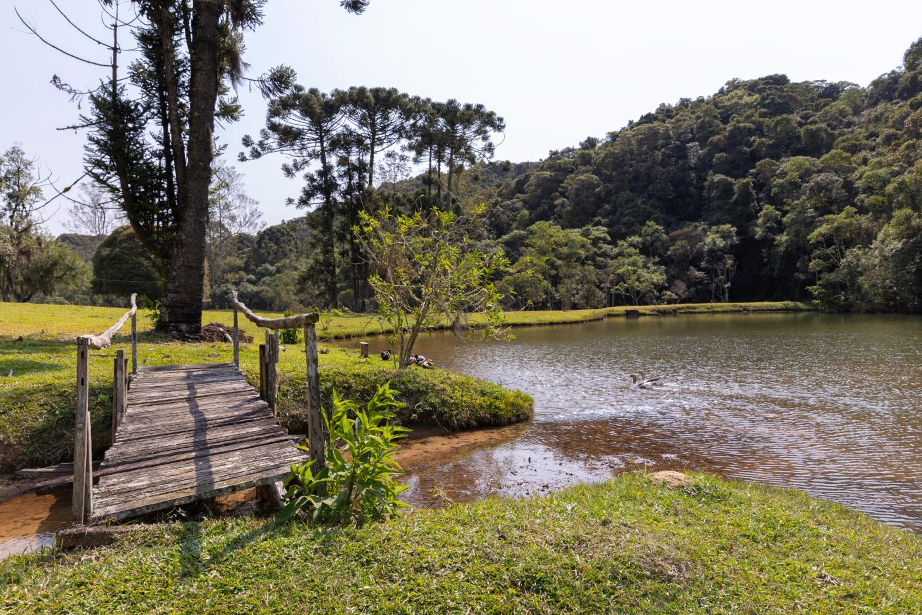 Natureza, Piscina, Churrasqueira |Brazilian Corner