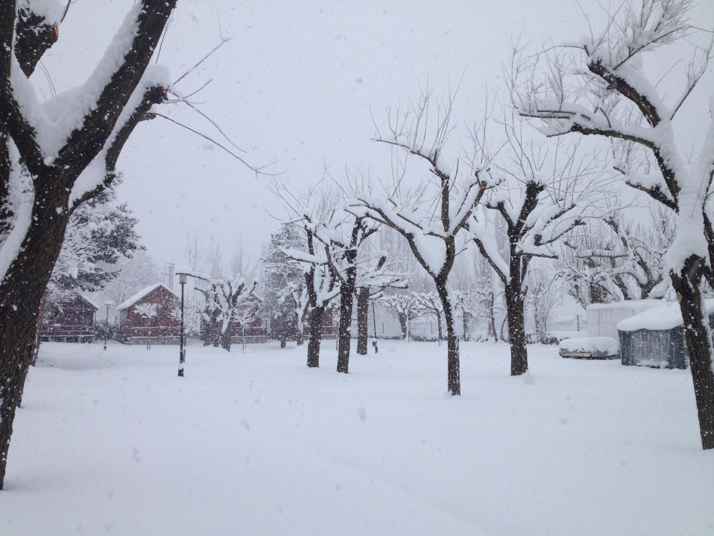 Photo 48