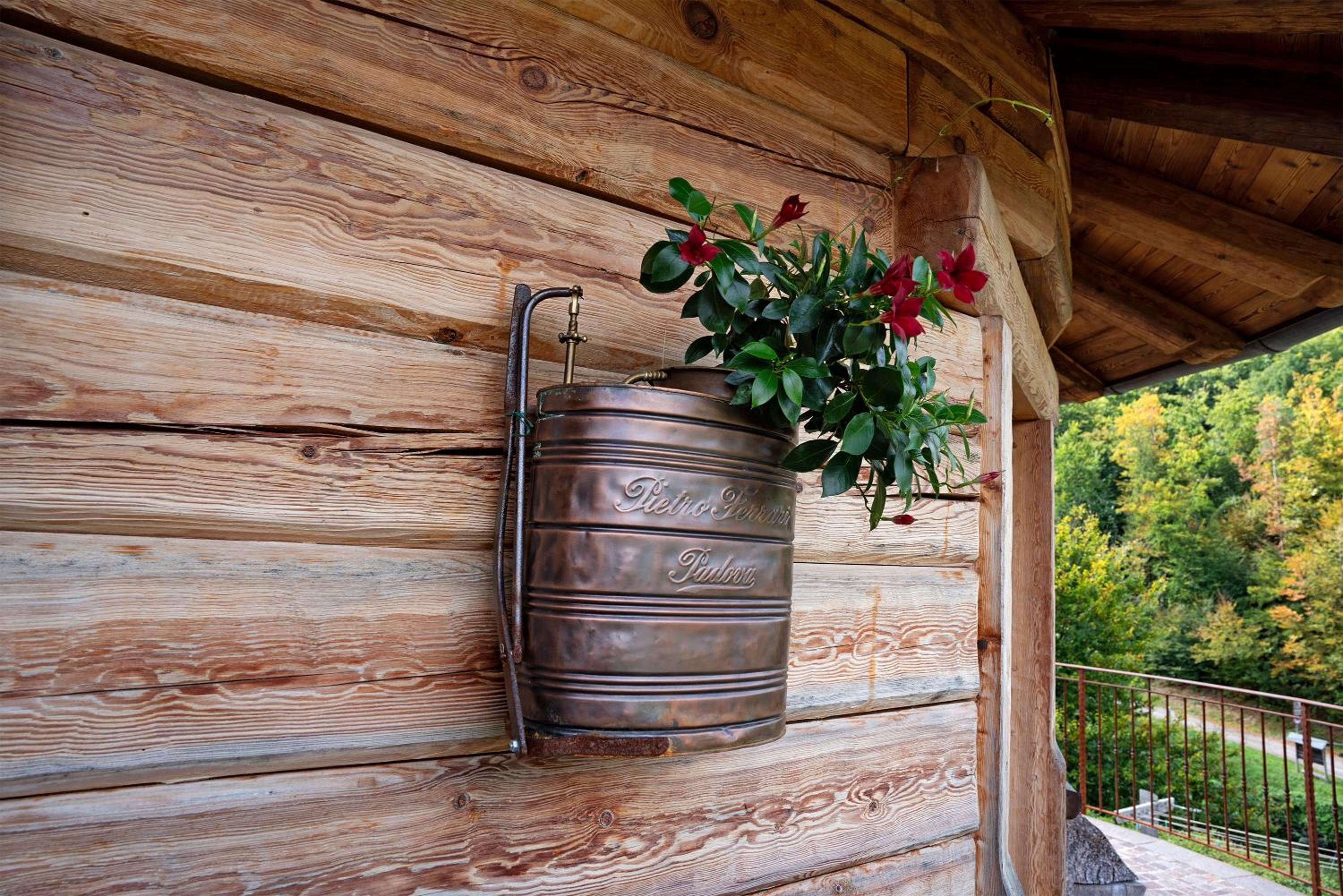 Baita Chalet Alabama view 4