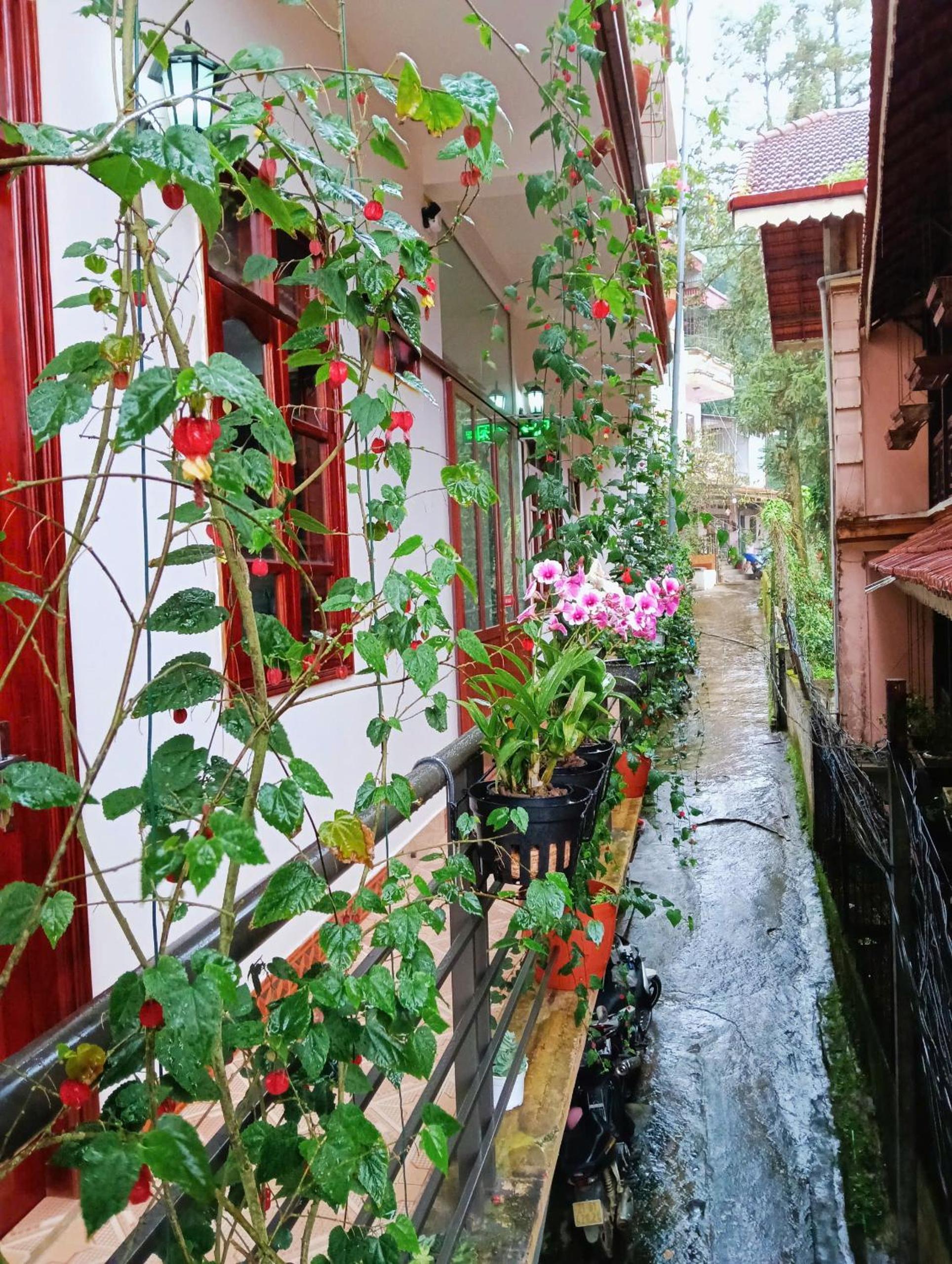 Nấm Homestay view 3