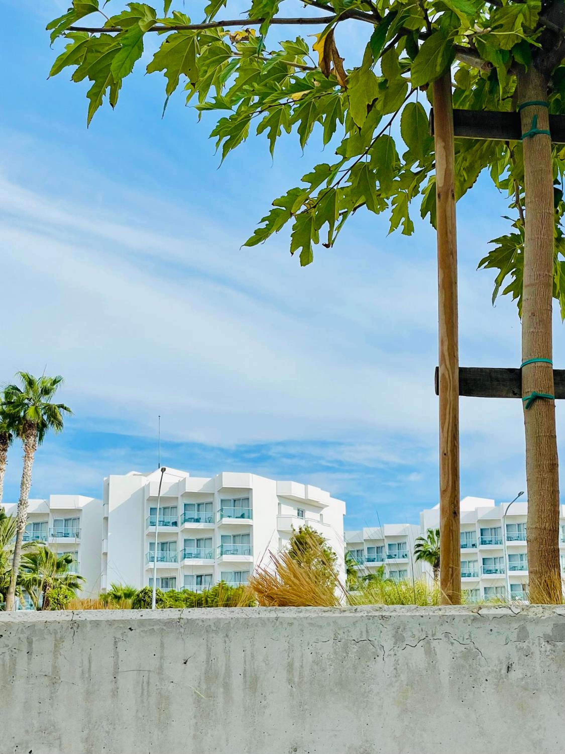 Coral Bay Garden