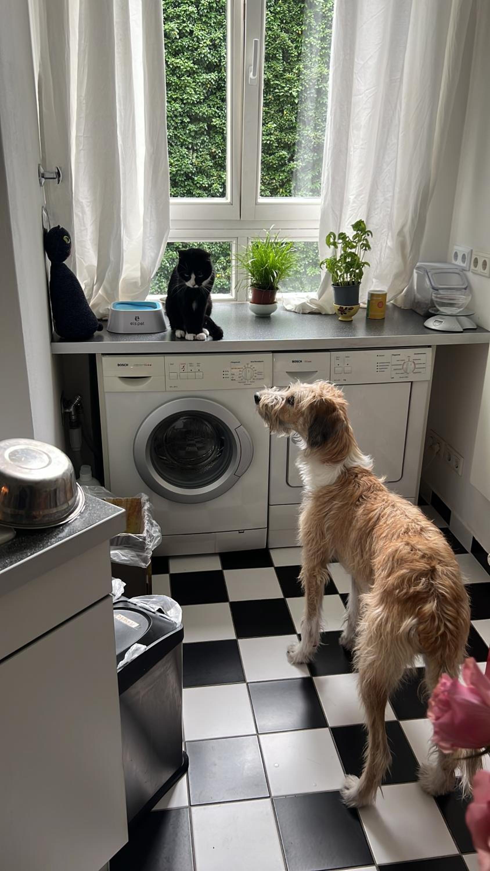 Schönes Privatzimmer in Charlottenburg