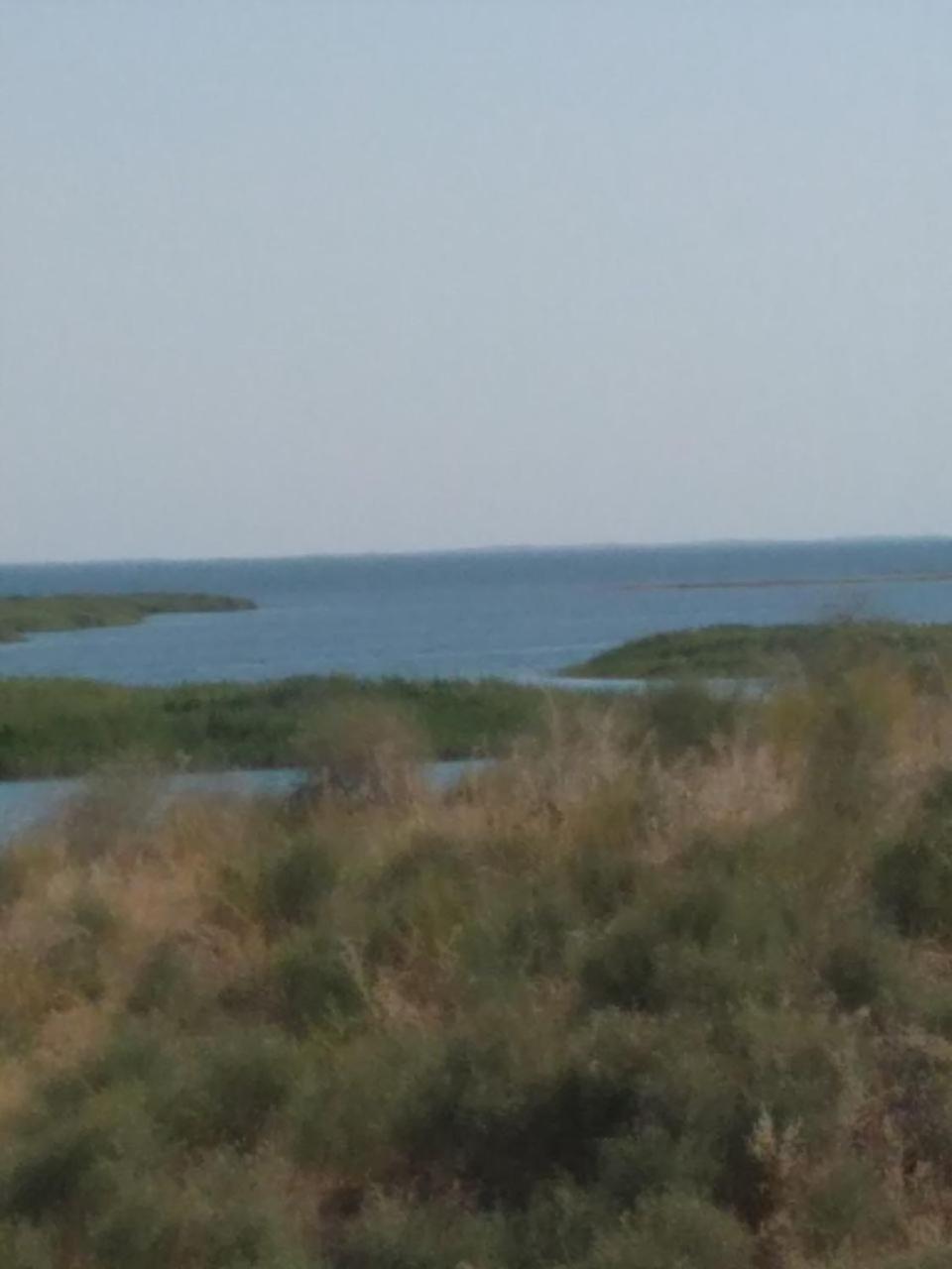 Xarsangi kalon