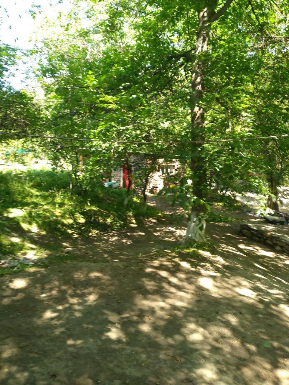 Xarsangi kalon