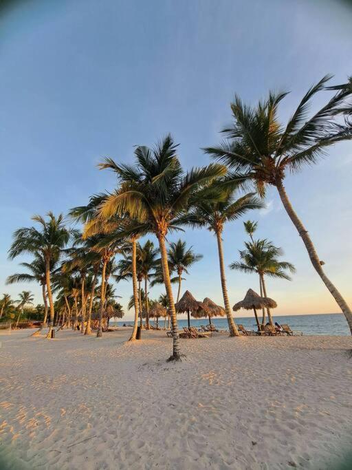 Cadaques Caribe Bayahibe Private beach
