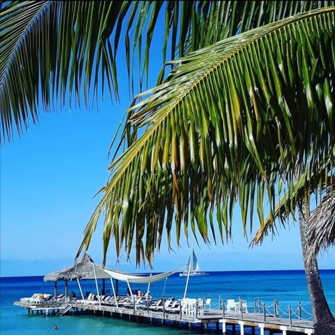 Cadaques Caribe Bayahibe Private beach