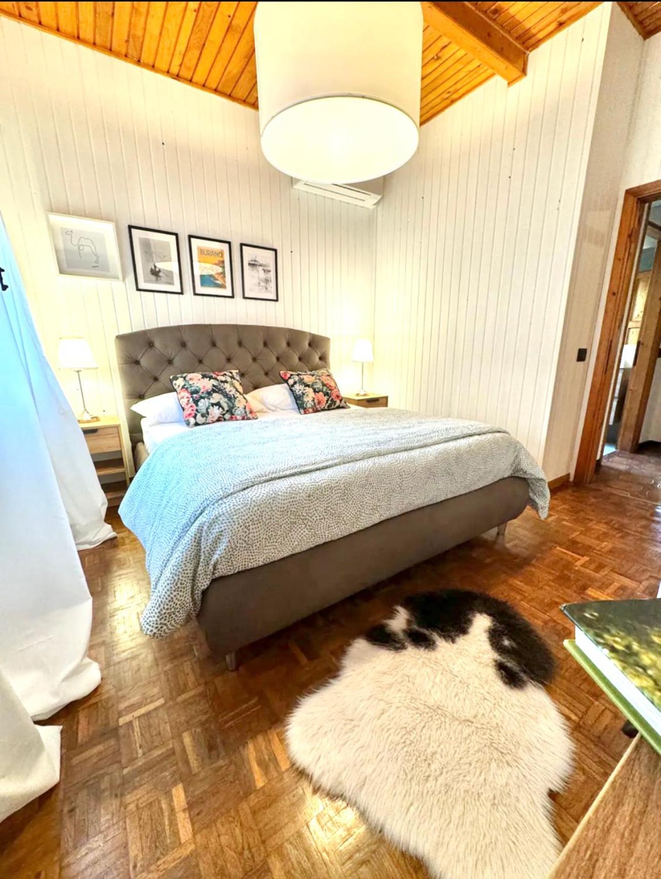 Casa degli Albicocchi - near Venice - whole house with garden and free Prkg view 2