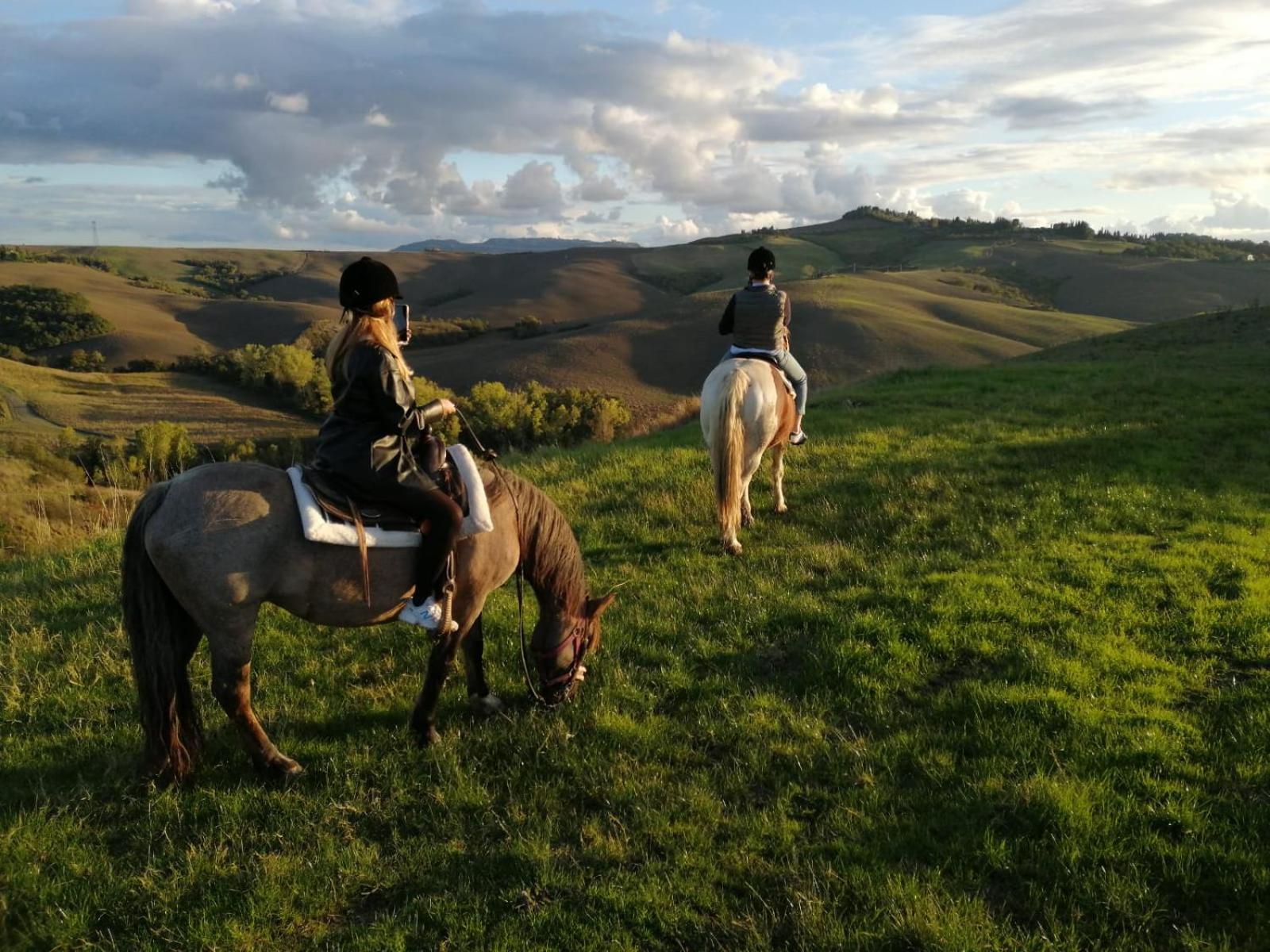 Origine Country Farm
