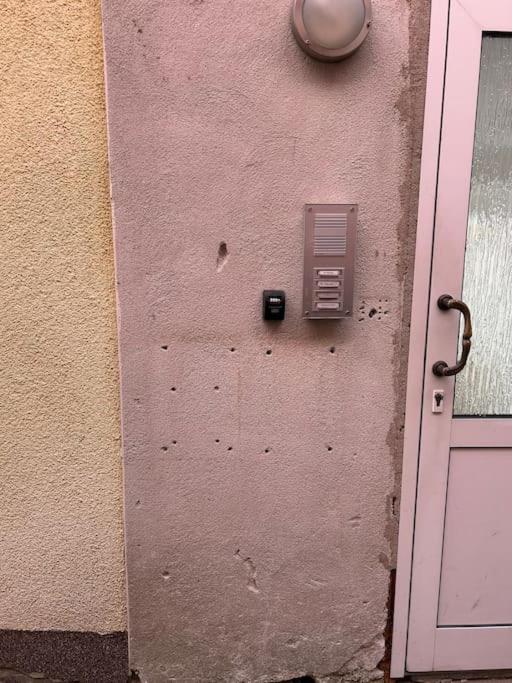 Gemütliches Apartment mit Garten