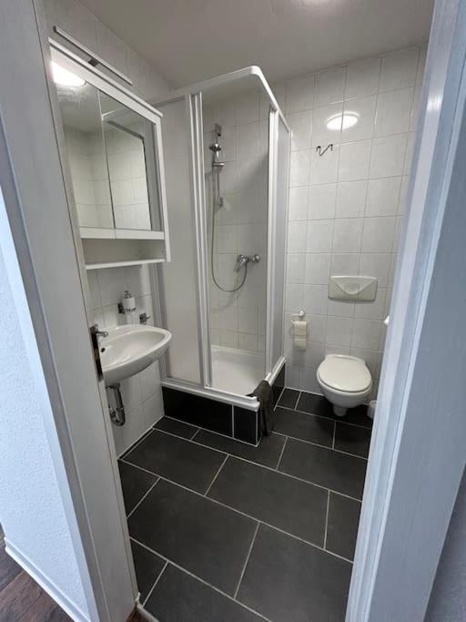 Gemütliches Apartment mit Garten