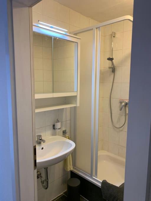 Gemütliches Apartment mit Garten