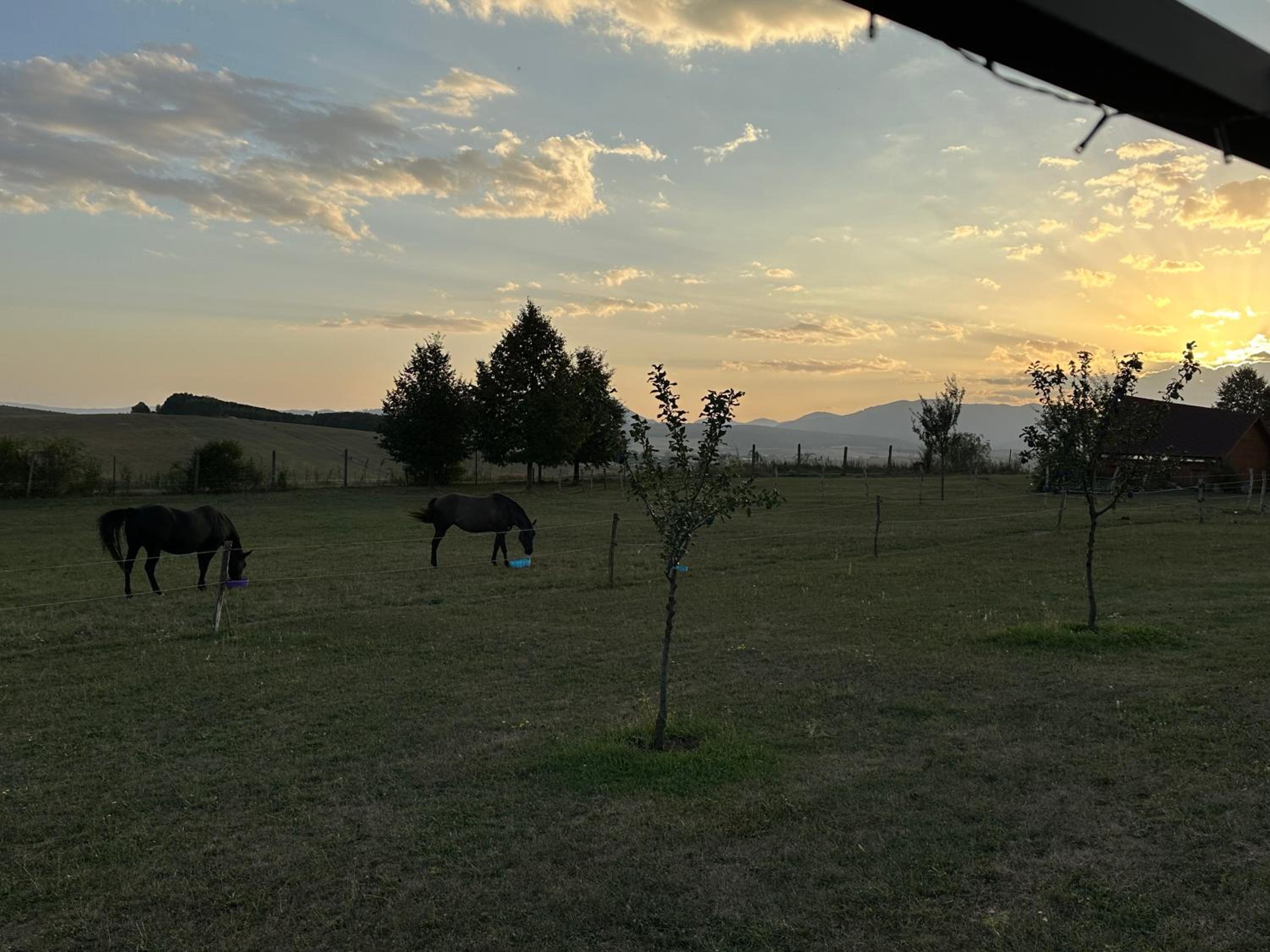 Photo 39