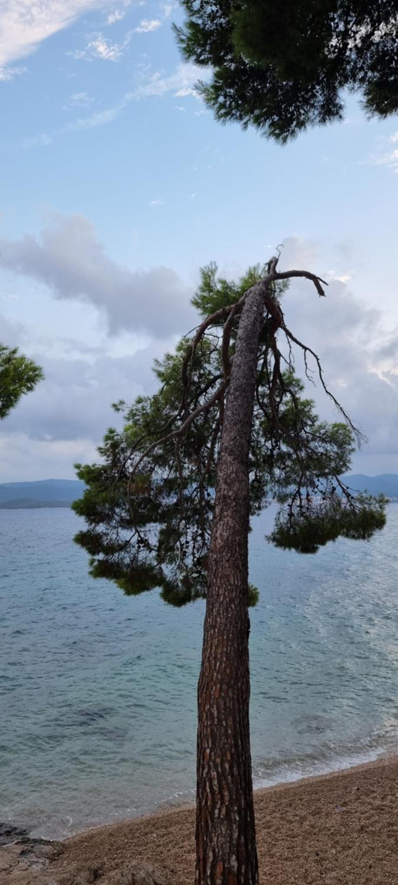 Summer Park Residence Peljesac