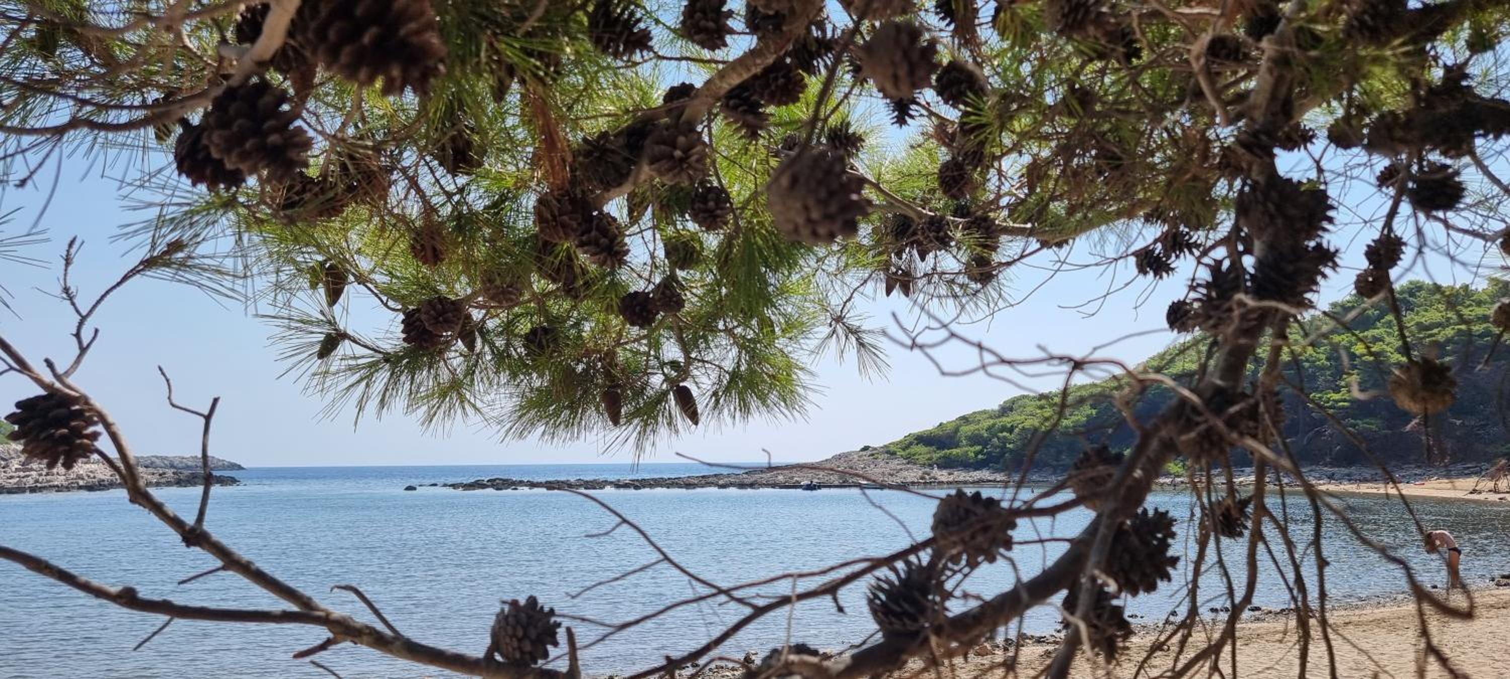 Summer Park Residence Peljesac