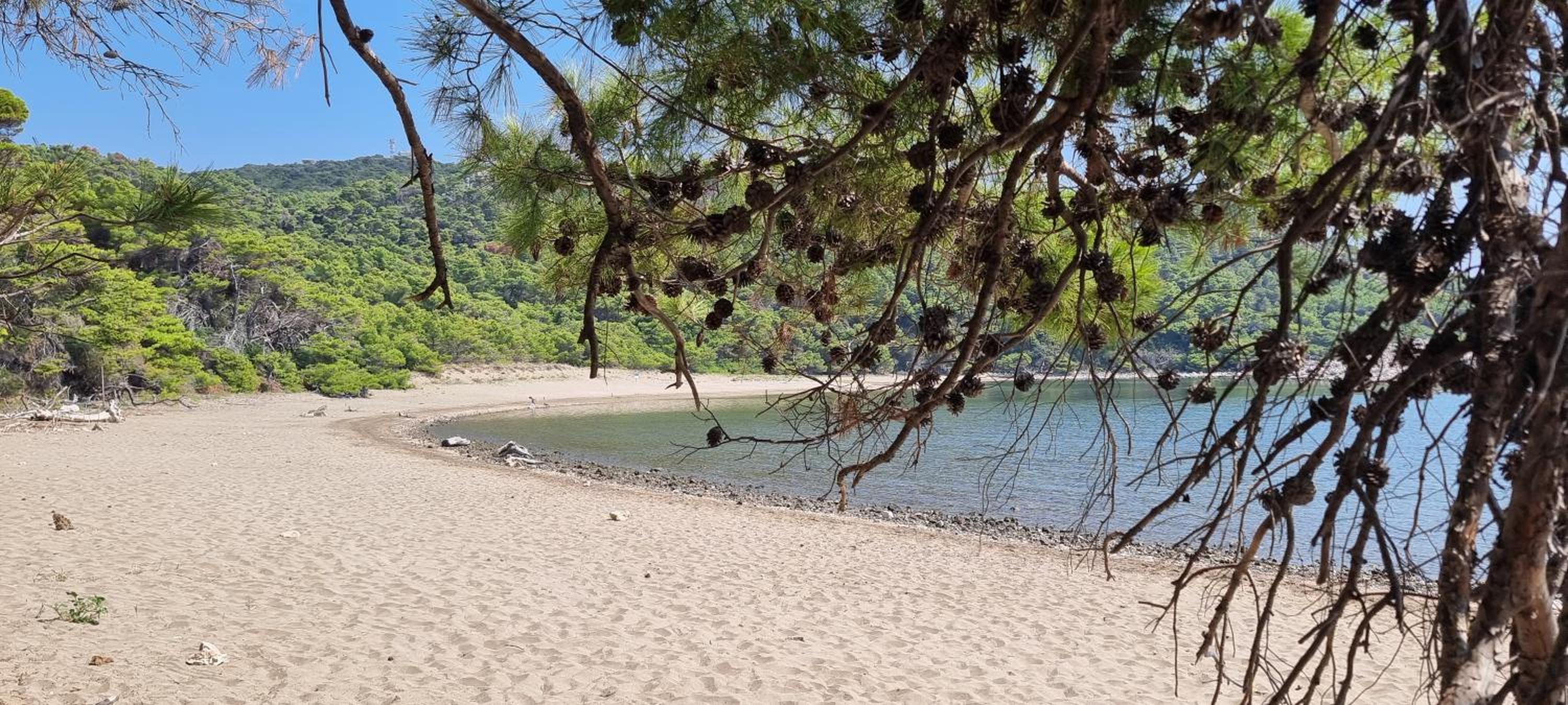 Summer Park Residence Peljesac