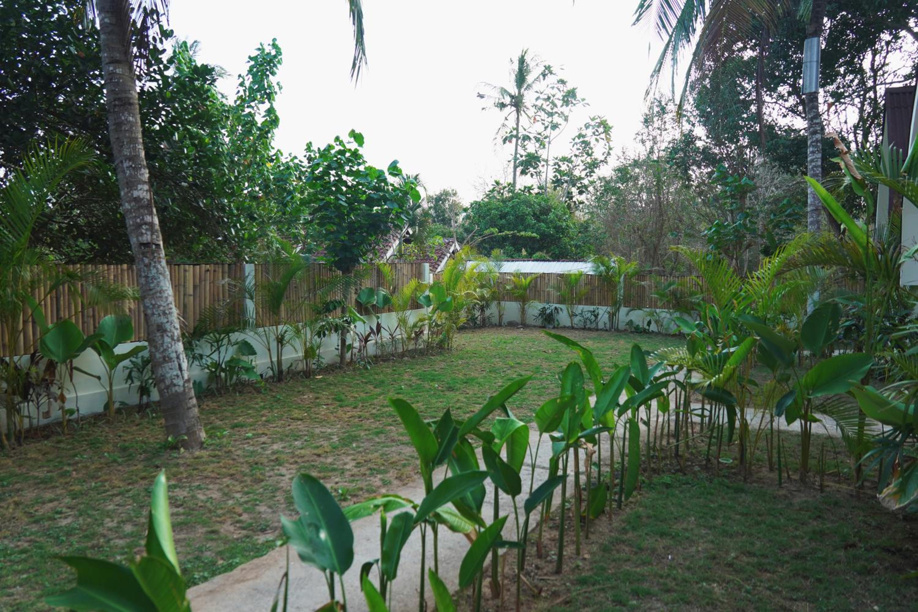 Jungle Bungalows