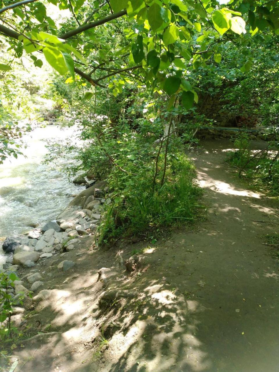 Xarsangi kalon