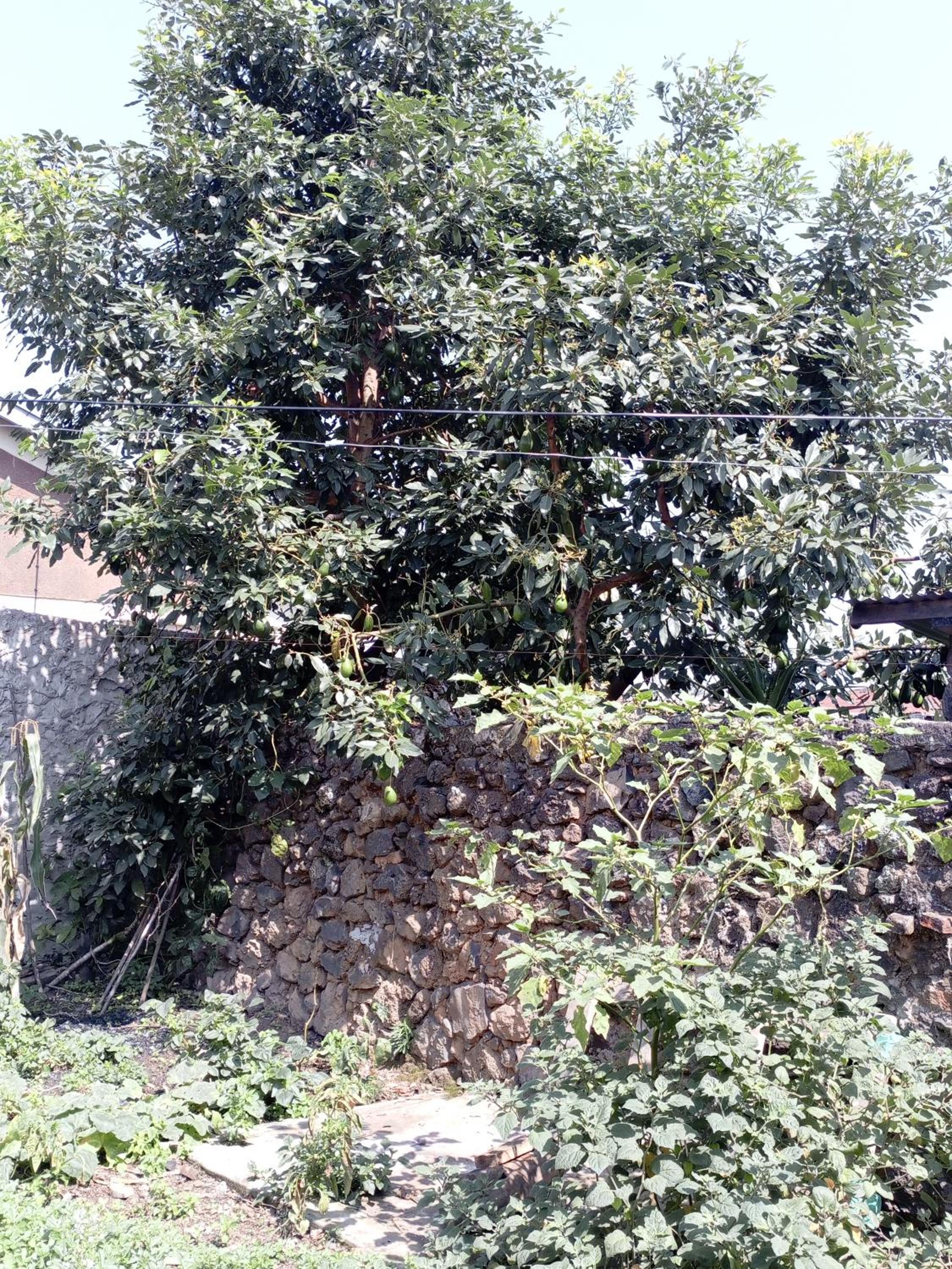 Photo 17